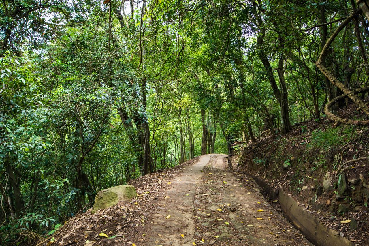 Vila Udawatta Kele Kandy Exteriér fotografie