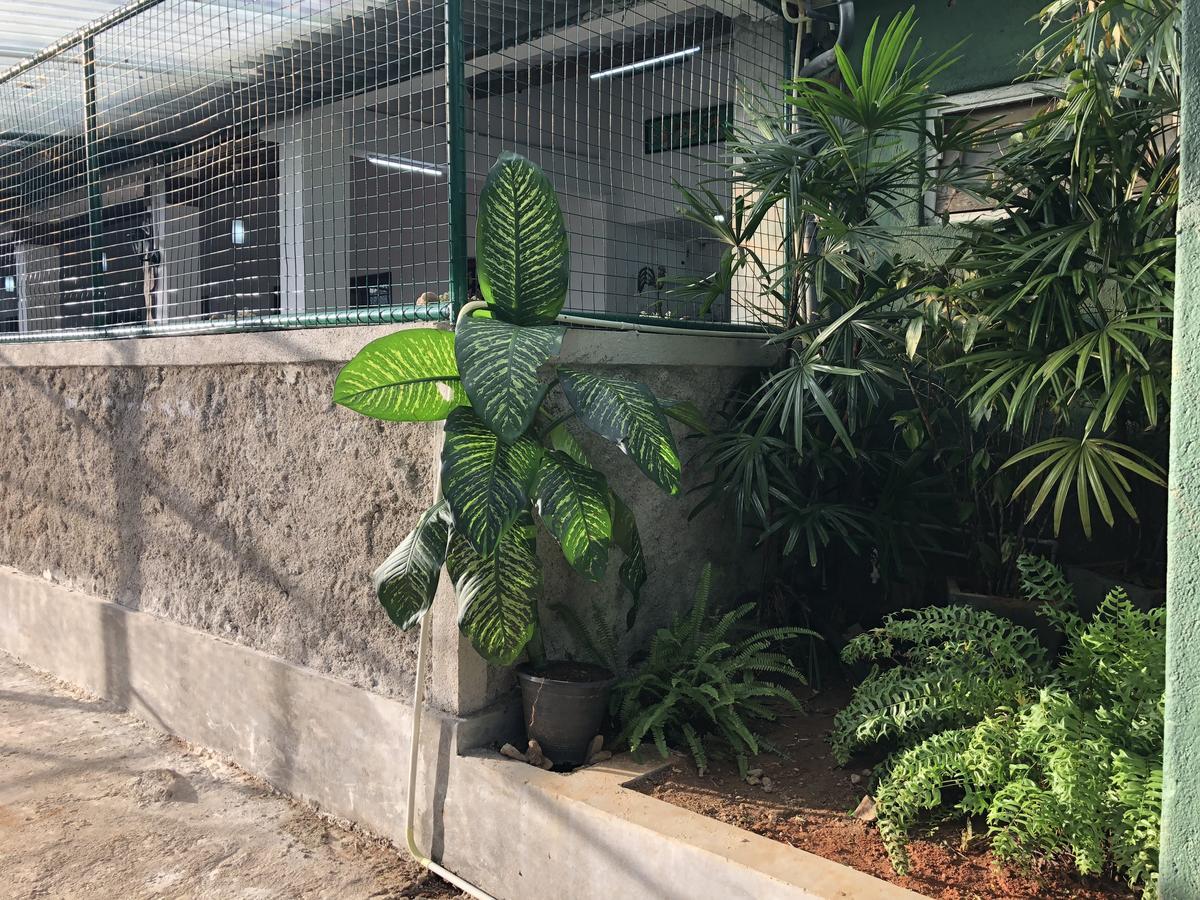 Vila Udawatta Kele Kandy Exteriér fotografie