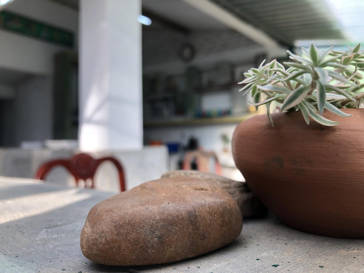 Vila Udawatta Kele Kandy Exteriér fotografie