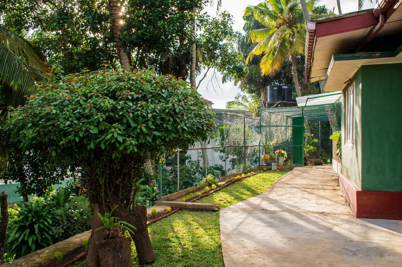 Vila Udawatta Kele Kandy Exteriér fotografie