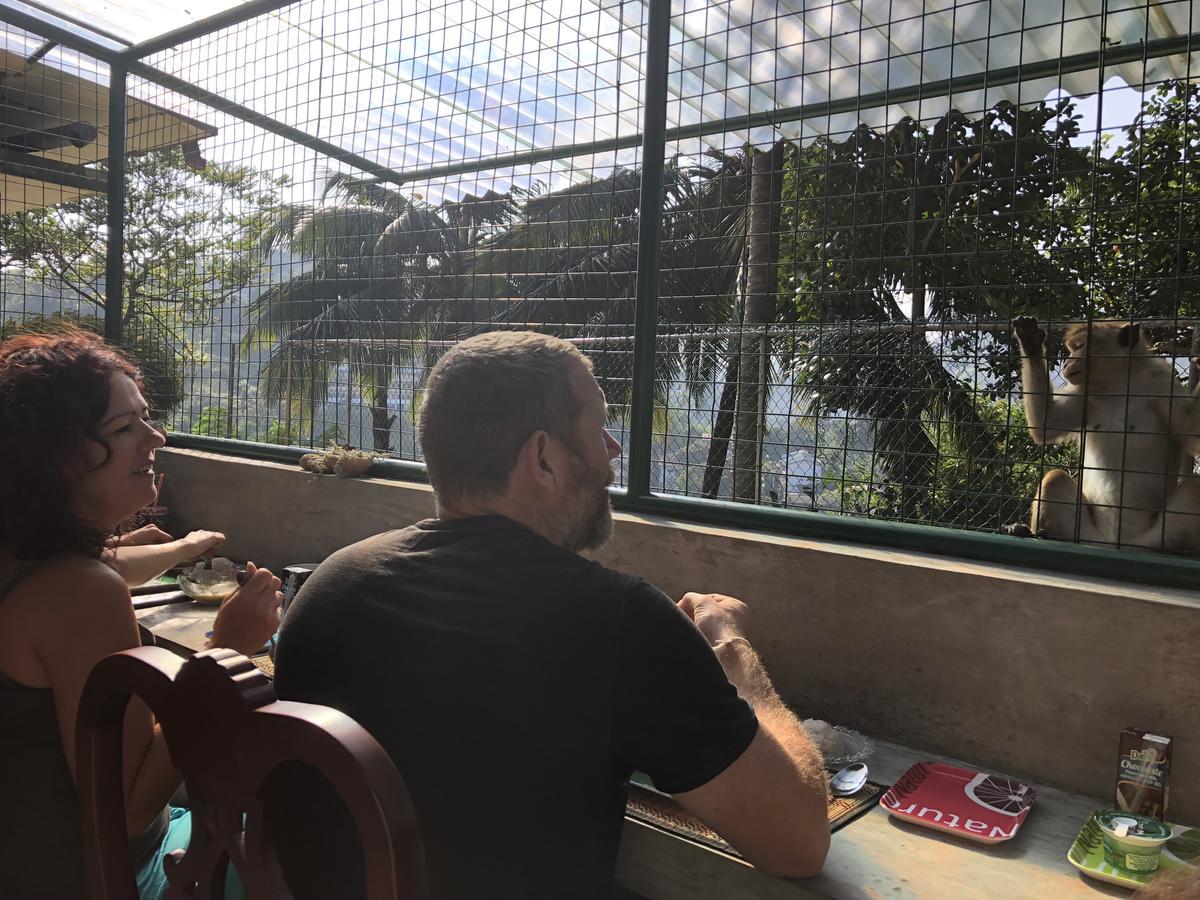 Vila Udawatta Kele Kandy Exteriér fotografie